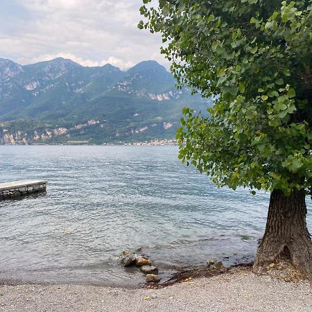 Al Cottage Oliveto Lario Extérieur photo