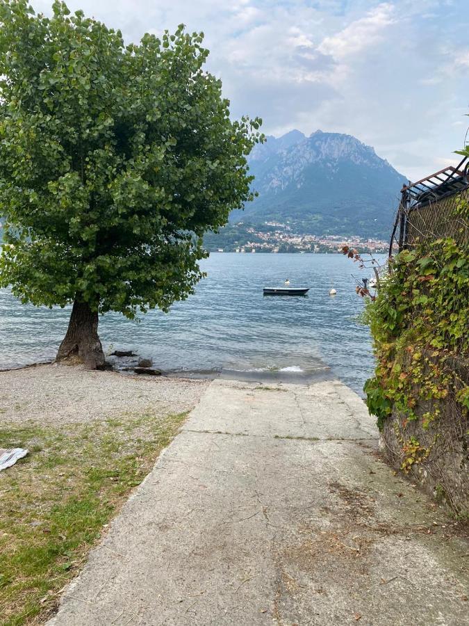 Al Cottage Oliveto Lario Extérieur photo